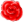 rose_neu_xs